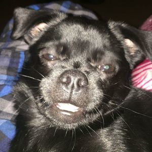 Meet your Posher, Melinda